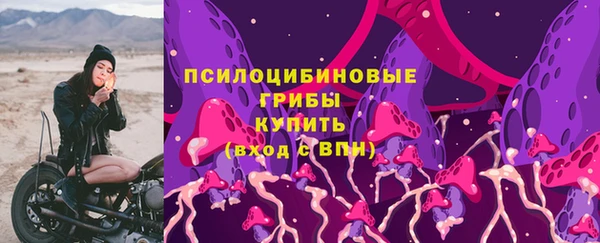 ешки Аркадак