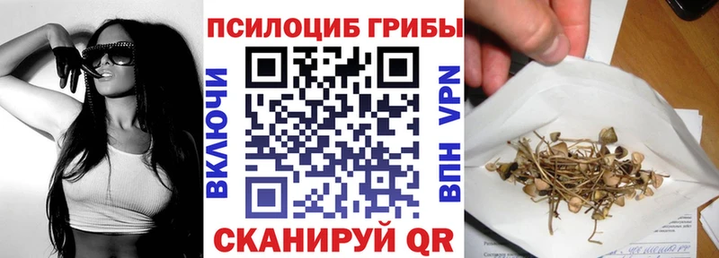 где найти   Кирово-Чепецк  Псилоцибиновые грибы Psilocybine cubensis 