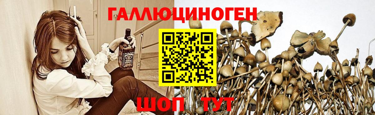 Галлюциногенные грибы GOLDEN TEACHER Кирово-Чепецк