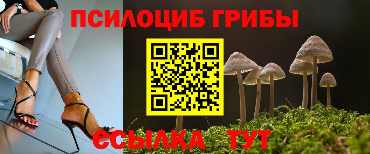Кирово-Чепецк  Псилоцибиновые грибы мухоморы  наркошоп  Вход с VPN  Галлюциногенные грибы мухоморы 